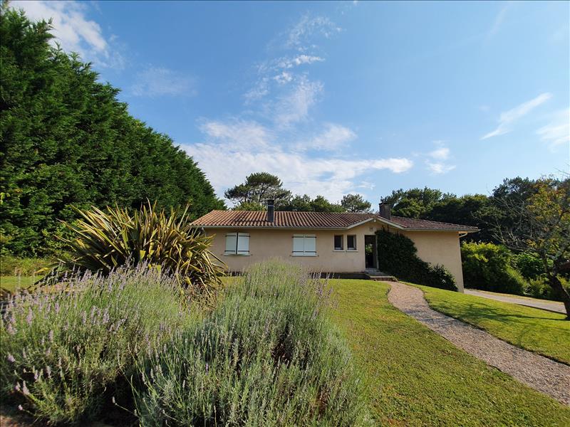 A Vendre Maison Villa Saint Martin De Seignanx 380 M 8 Pieces 795 000