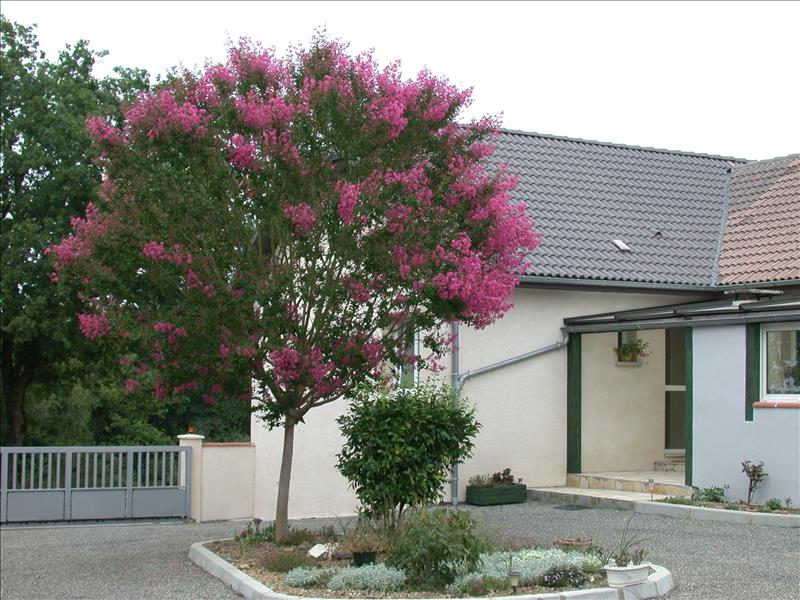 Maison - 11 pièces - 282 m² - ARTHEZ DE BEARN (64)