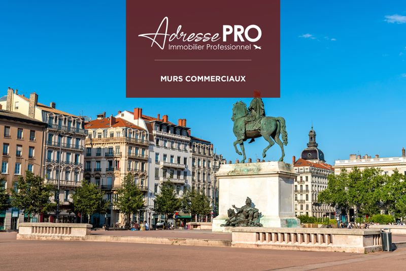 Achat Murs libres  DECINES CHARPIEU (69150) - 520 m²
