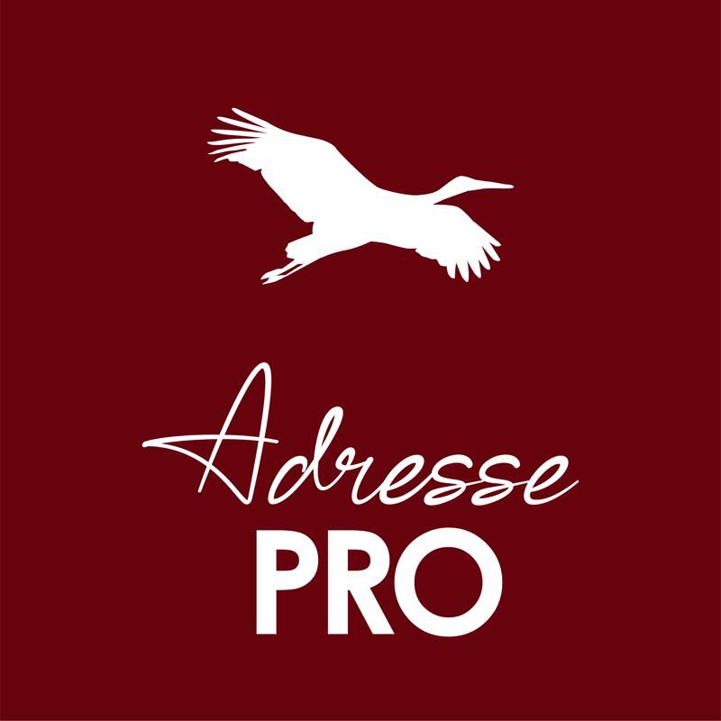 Achat Murs libres  ALBI (81000) - 85 m²