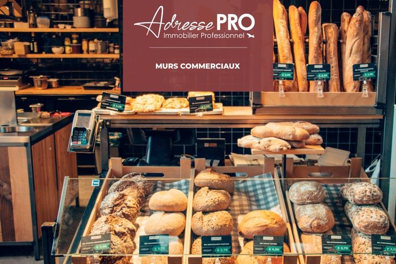 Achat Murs libres  LANNILIS (29870) - 334 m²