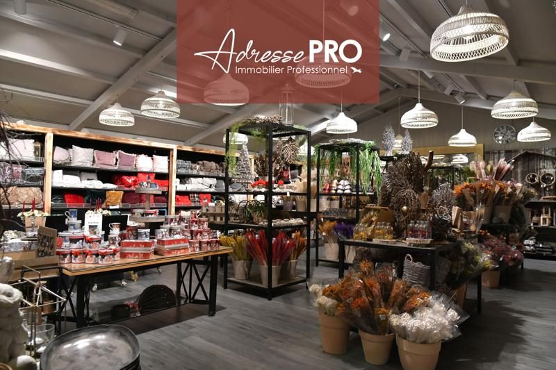 Achat Murs occupés  LANDERNEAU (29800) - 560 m²